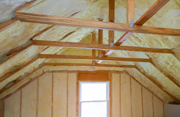 Best Energy Efficiency Solutions in Pasadena, TX