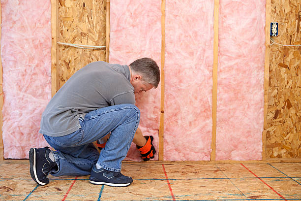 Best Insulation Maintenance and Repair in Pasadena, TX